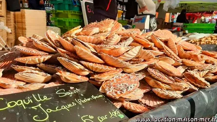 La fête de la coquille à Ouistreham.