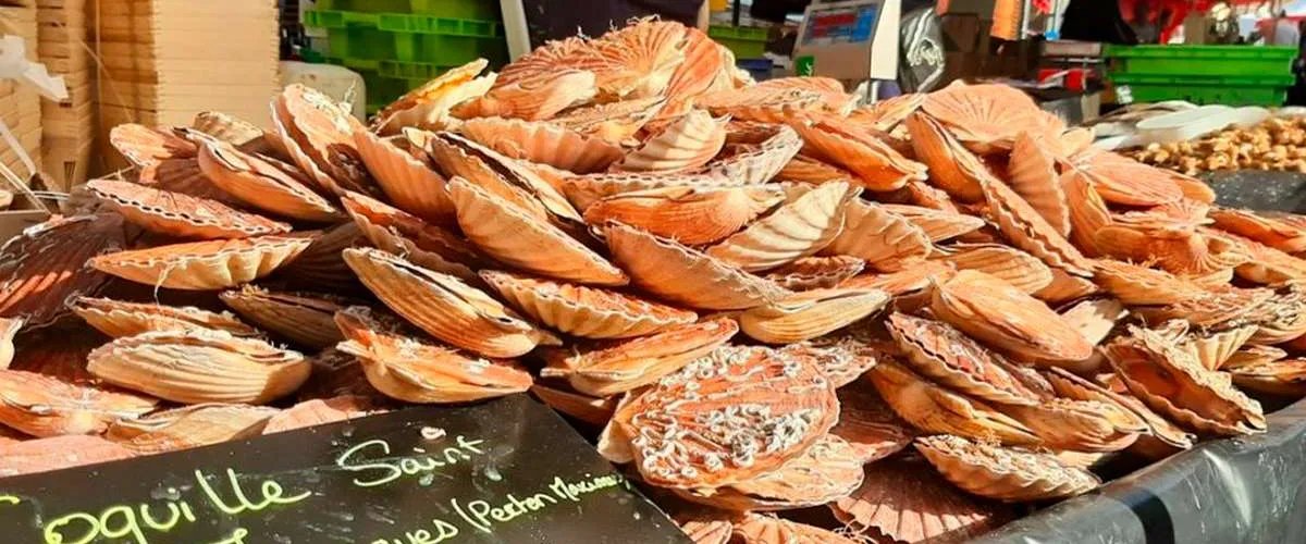 La fête de la coquille à Ouistreham.